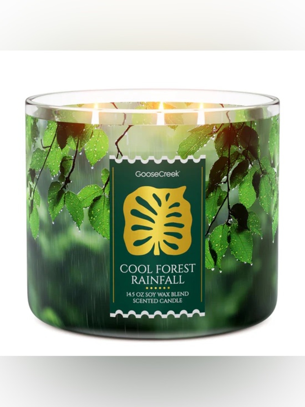 GooseCreek Cool Forest Rainfall 3-Wick Candle